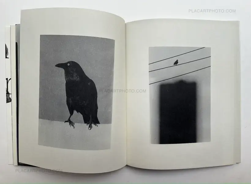 Wouter Van de Voorde – Death is not here