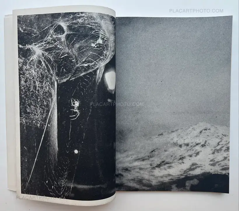 Dimitra Dede – Metaphors