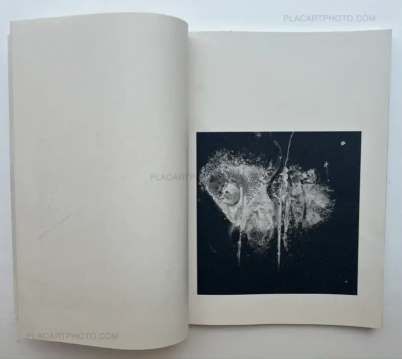 Dimitra Dede – Metaphors