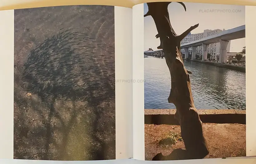 Miyako Ishiuchi – Moving Away (SIGNED)