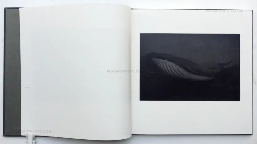 Chieko Shiraishi – Shimakage/ Island shadow (Signed)