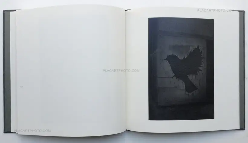 Chieko Shiraishi – Shimakage/ Island shadow (Signed)