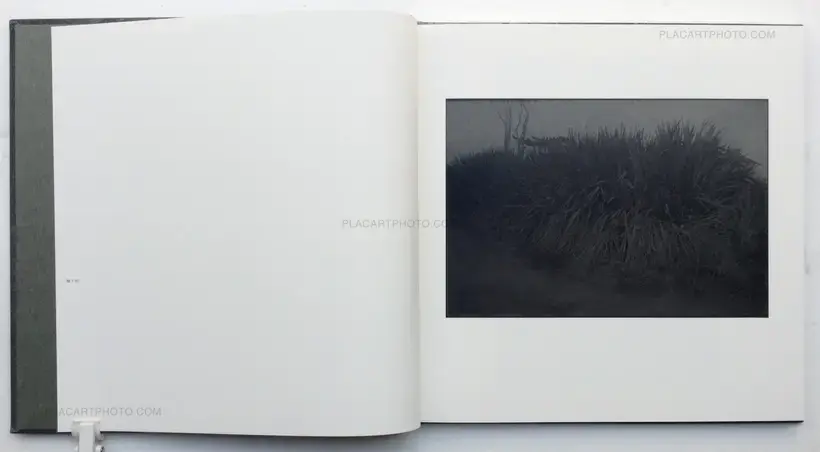 Chieko Shiraishi – Shimakage/ Island shadow (Signed)