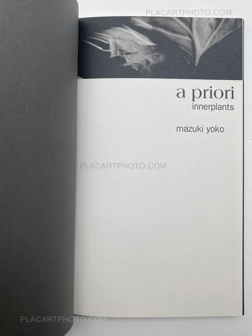 Mazuki Yoko – a priori innerplants (Signed)