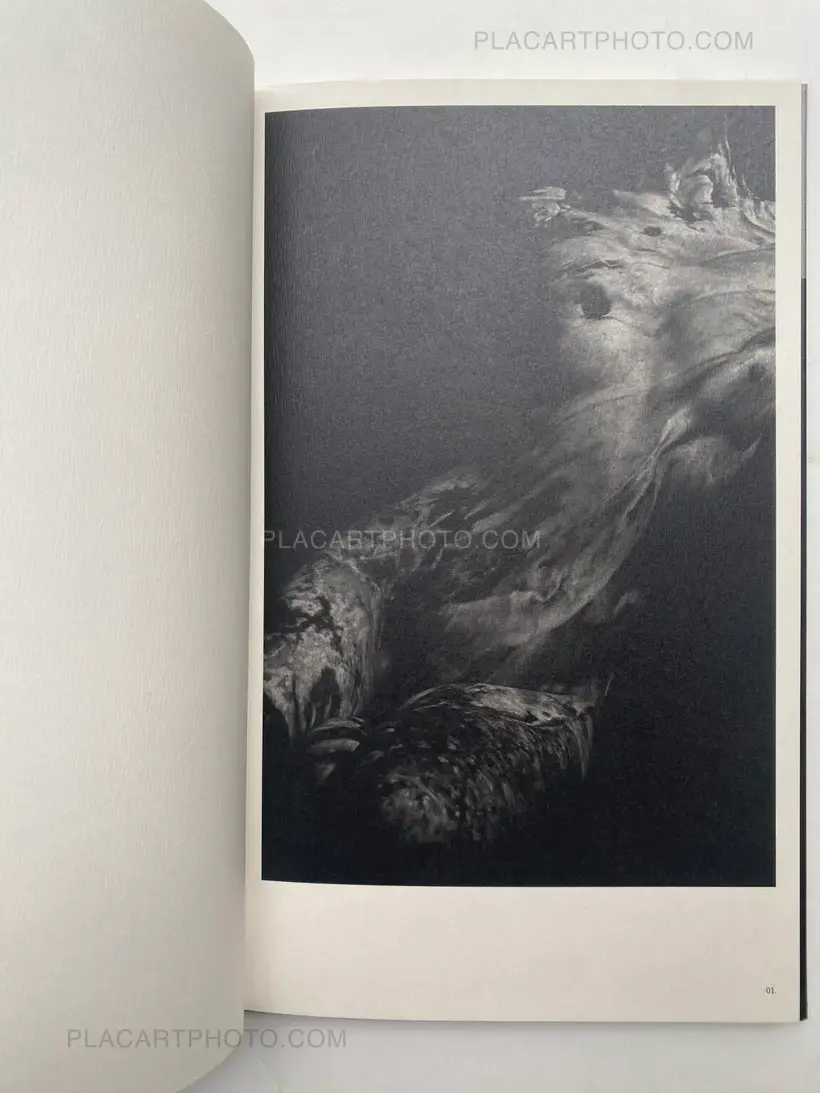 Mazuki Yoko – a priori innerplants (Signed)