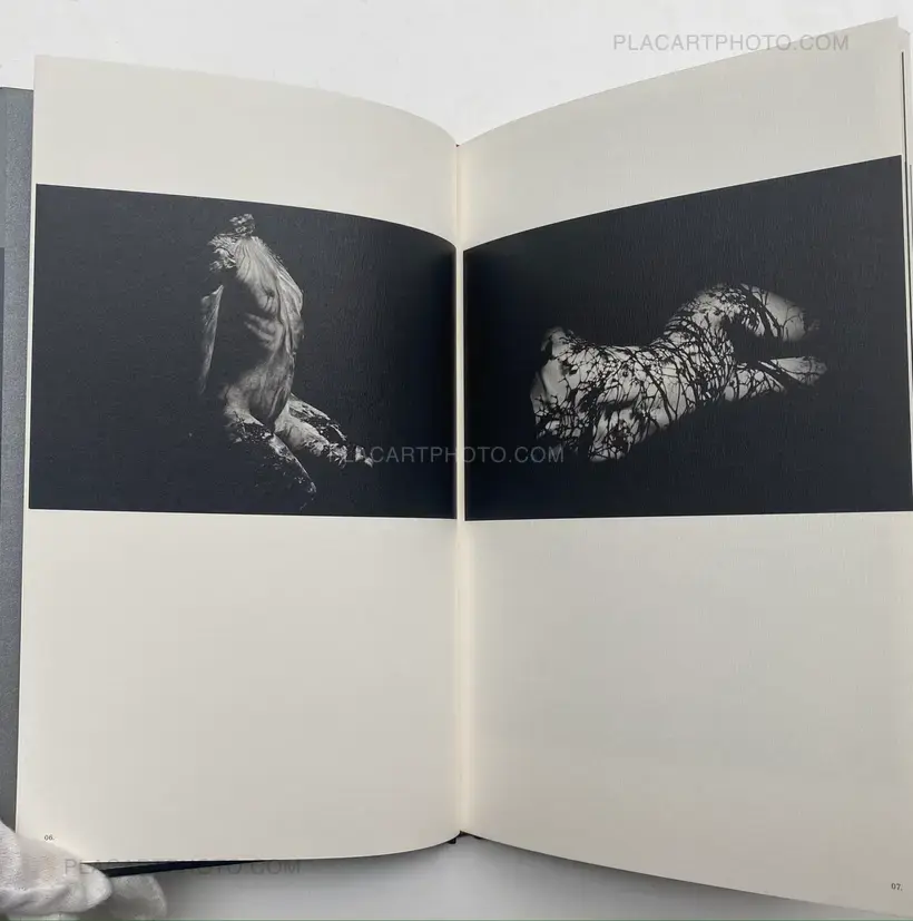 Mazuki Yoko – a priori innerplants (Signed)