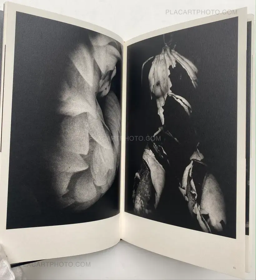 Mazuki Yoko – a priori innerplants (Signed)