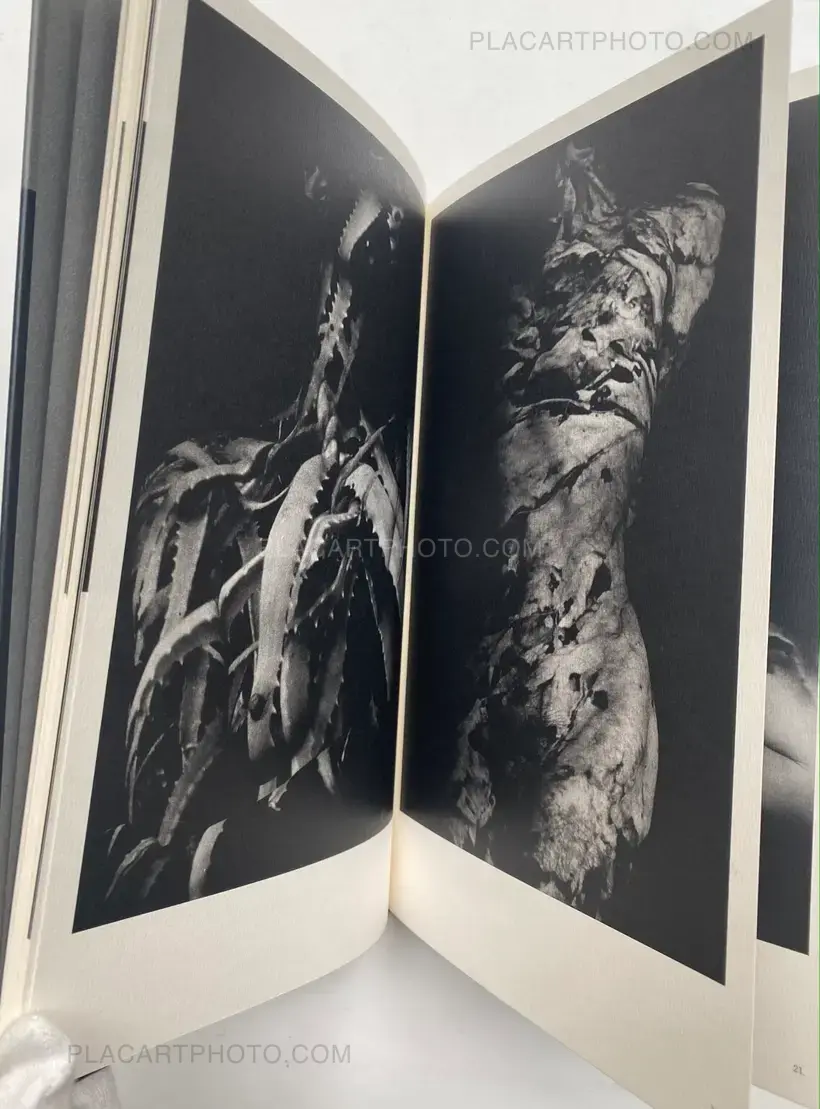 Mazuki Yoko – a priori innerplants (Signed)