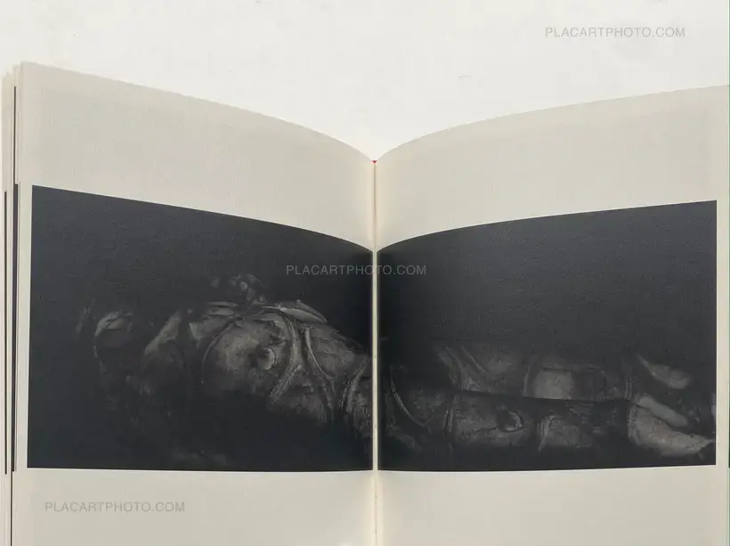 Mazuki Yoko – a priori innerplants (Signed)