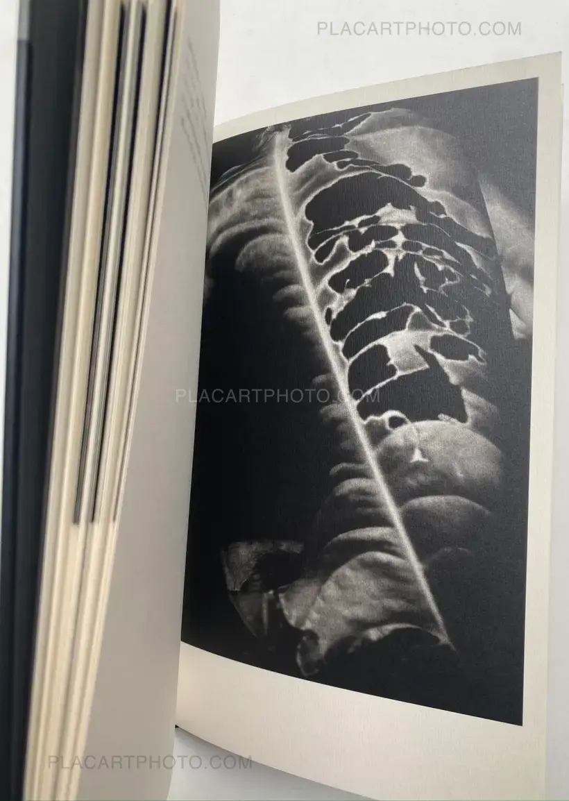 Mazuki Yoko – a priori innerplants (Signed)