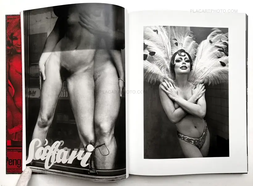 André Gelpke – Sex-Theater