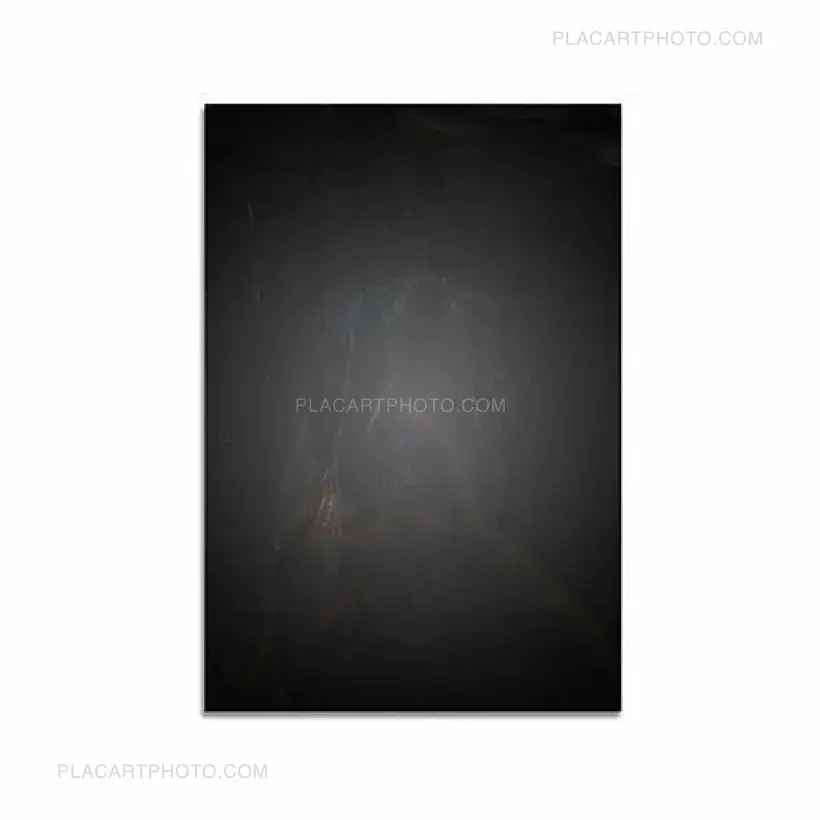 Feng Li – White Night (First edition)