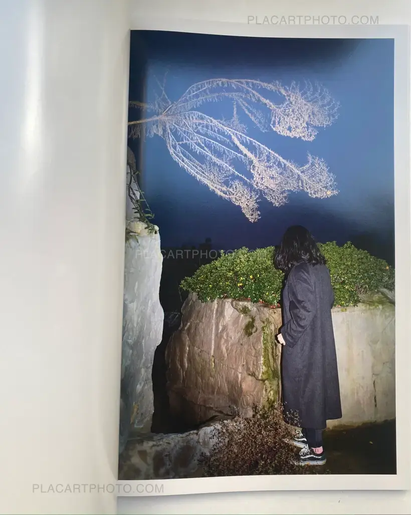 Feng Li – White Night (First edition)