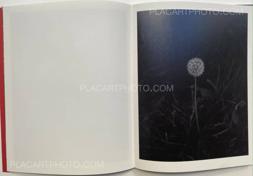 ProliferationGeert Goirisプリント付限定300部