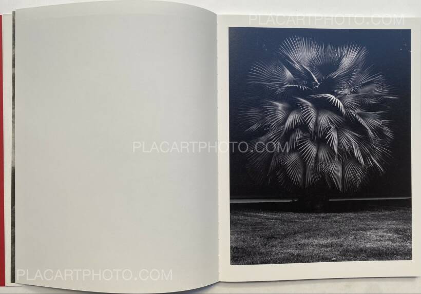 ProliferationGeert Goirisプリント付限定300部