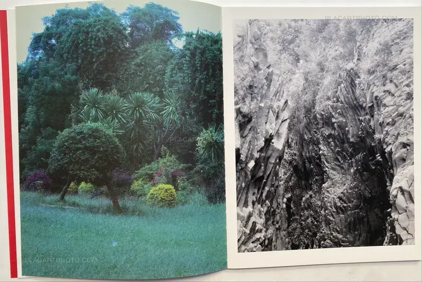 Geert Goiris – Prolifération (with signed print)