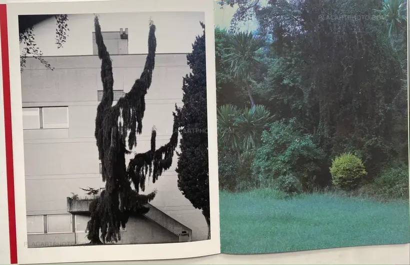 Geert Goiris – Prolifération (with signed print)