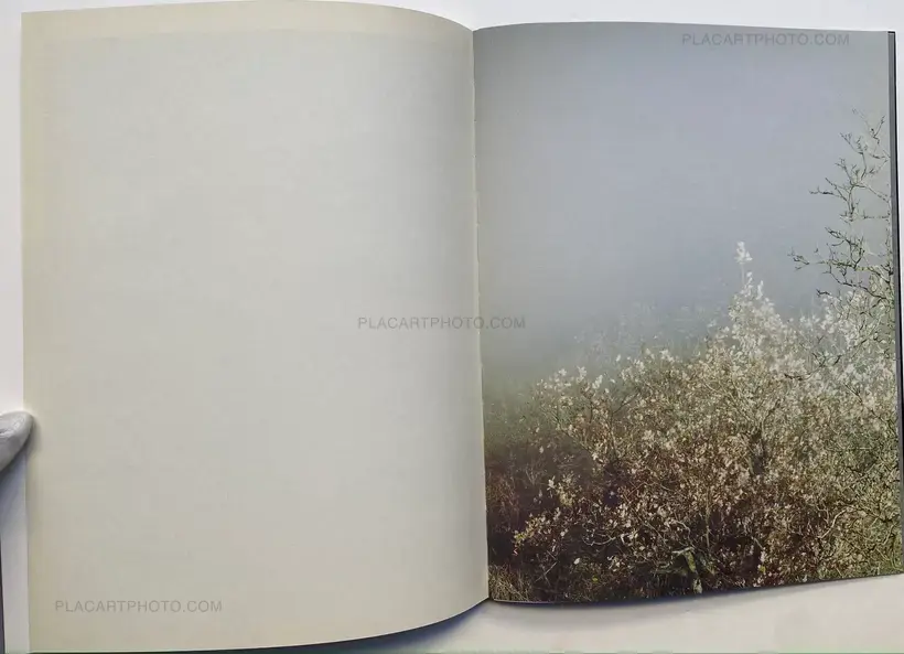 Geert Goiris – Prolifération (with signed print)