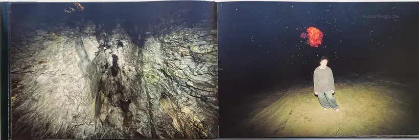 Lieko Shiga – CANARY (WITH OBI)