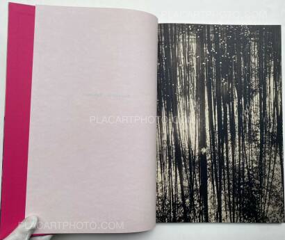 Paul Cupido,Éphémère (SIGNED) 