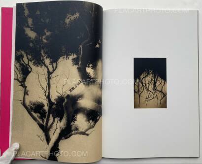 Paul Cupido,Éphémère (SIGNED) 