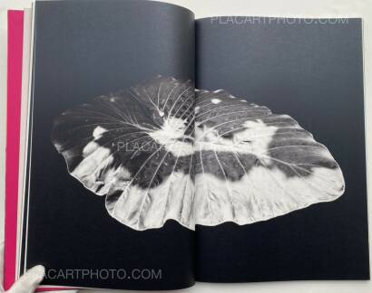 Paul Cupido,Éphémère (SIGNED) 