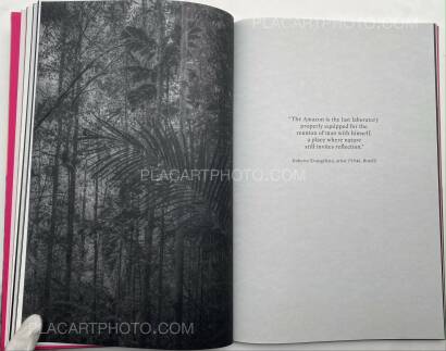 Paul Cupido,Éphémère (SIGNED) 