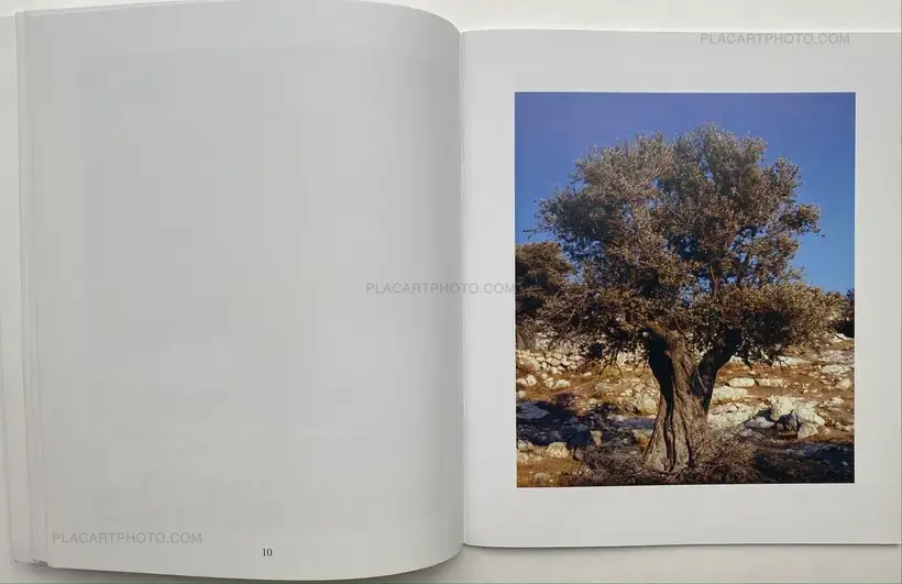 Nick Waplington – NEITHER A SALT SPRING NOR A HORSE (SIGNED)