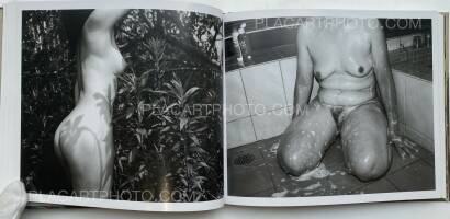 Nobuyoshi Araki,Seikimatsu no Shashin