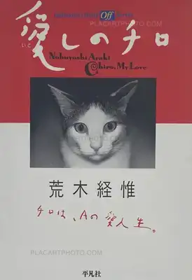 Nobuyoshi Araki – Itoshi no Chiro (Chiro, My Love)