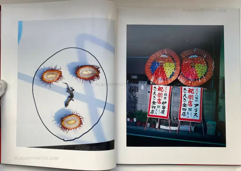 Nobuyoshi Araki – Shikikei (Colorscape) (WITH OBI)