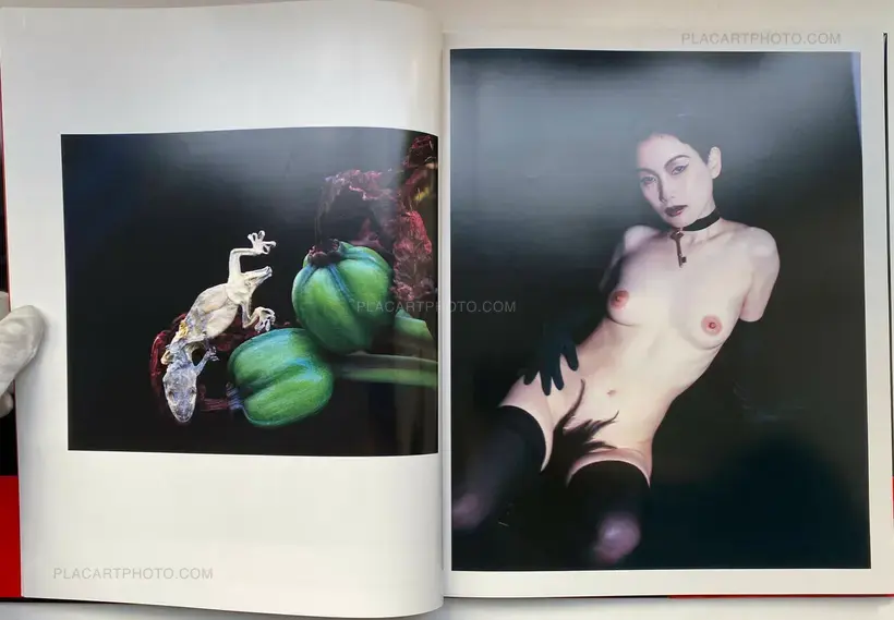 Nobuyoshi Araki – Shikikei (Colorscape) (WITH OBI)