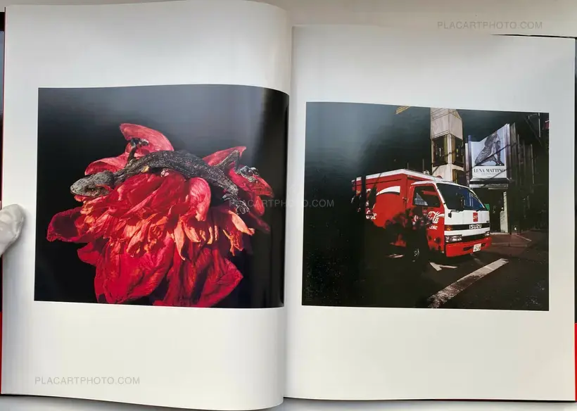 Nobuyoshi Araki – Shikikei (Colorscape) (WITH OBI)