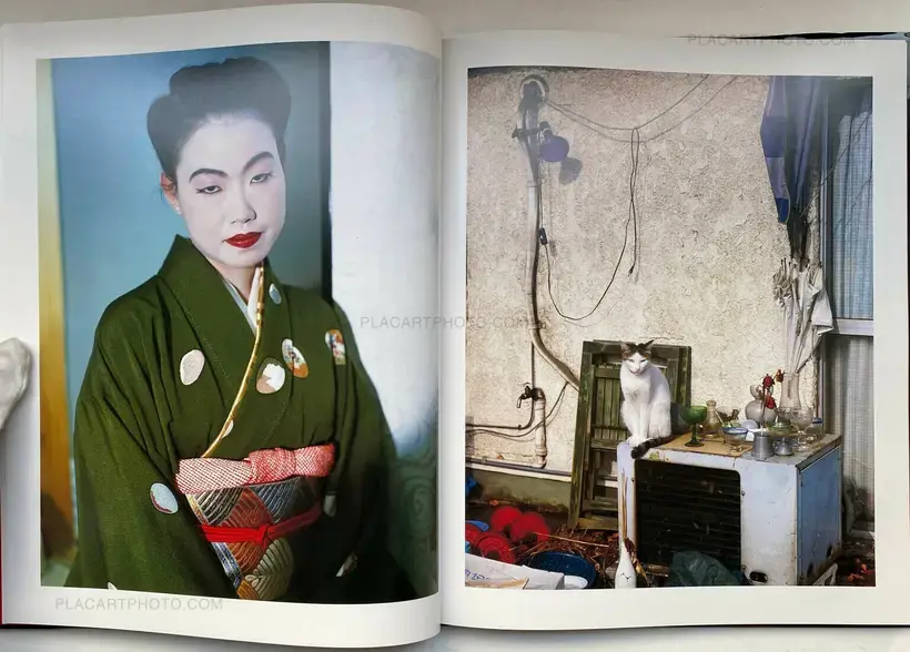 Nobuyoshi Araki – Shikikei (Colorscape) (WITH OBI)