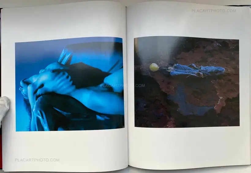 Nobuyoshi Araki – Shikikei (Colorscape) (WITH OBI)