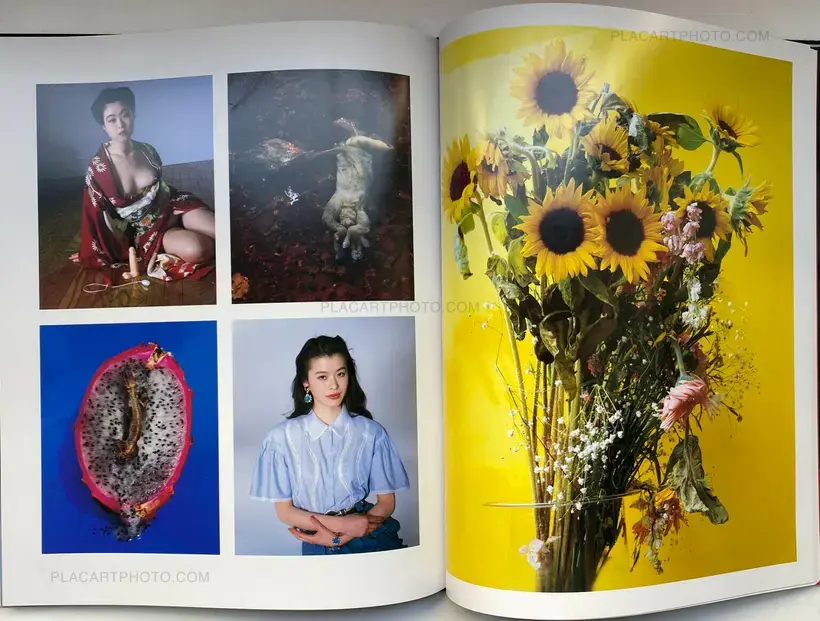 Nobuyoshi Araki – Shikikei (Colorscape) (WITH OBI)