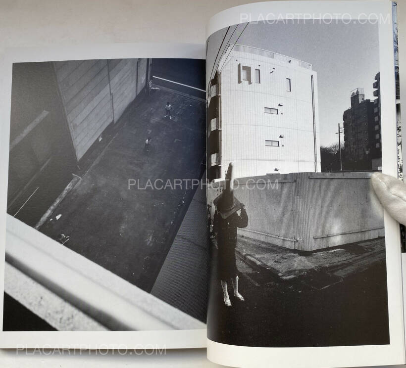 日本画 フーイーヤオ 日本画 フーイーヤオ作品 日本画 フーイーヤオ FU YIYAO | 傅益瑶