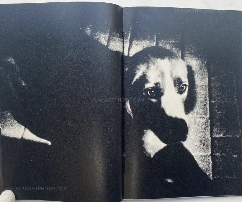 Ilias Georgiadis – FORECAST (COLLECTORS' EDITION)