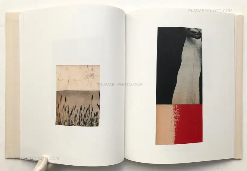 Katrien de Blauwer – WHY I HATE CARS