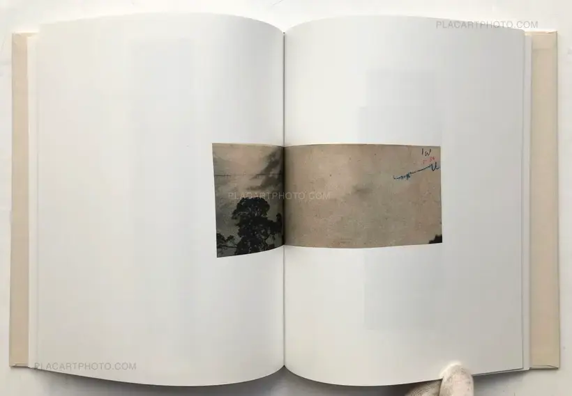 Katrien de Blauwer – WHY I HATE CARS