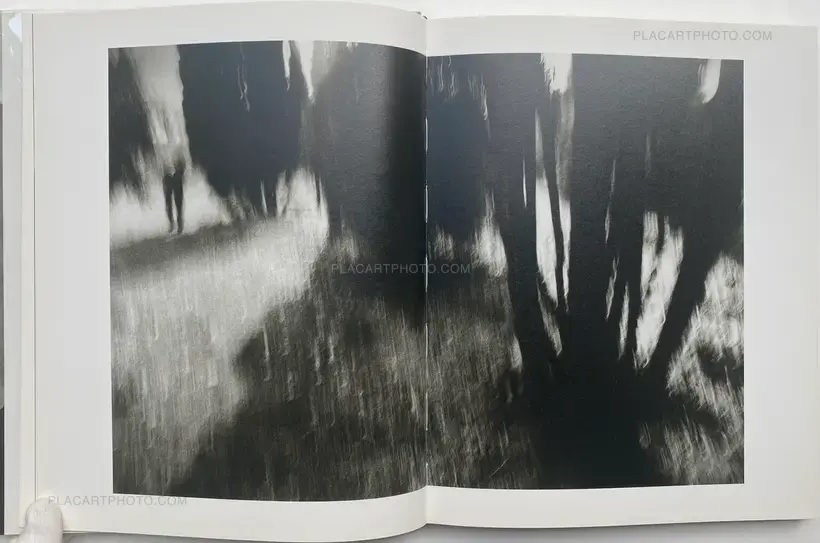 Machiel Botman – Rainchild