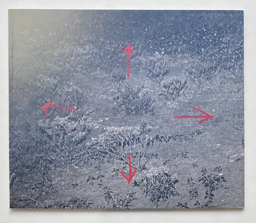 Jim Goldberg – Open See