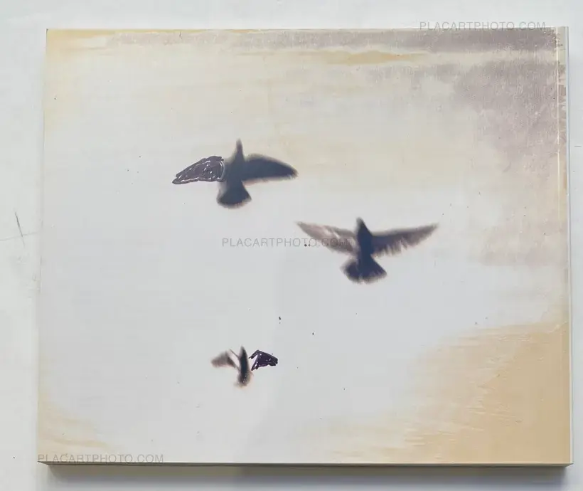 Jim Goldberg – Open See