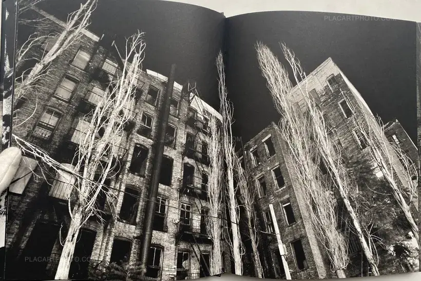 Q. Sakamaki – Tompkins Square Park