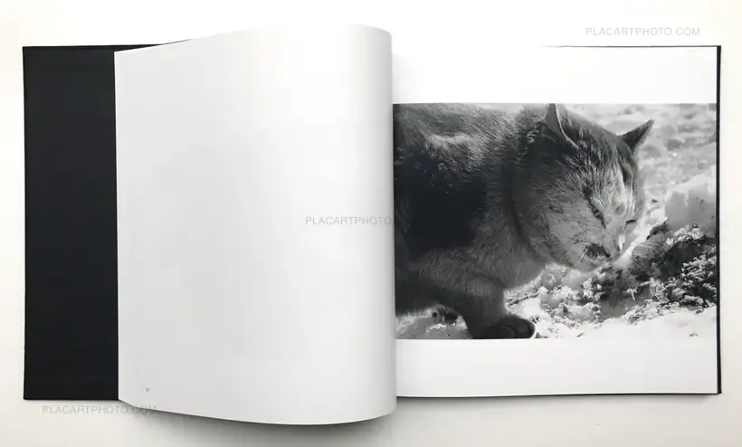 Masahisa Fukase – Ravens (Karasu) (STILL IN SHRINK WRAP)