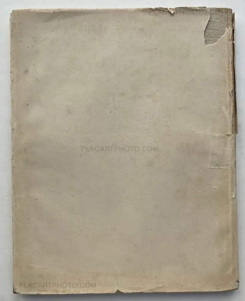 Karl Blossfeldt – Urformen der Kunst