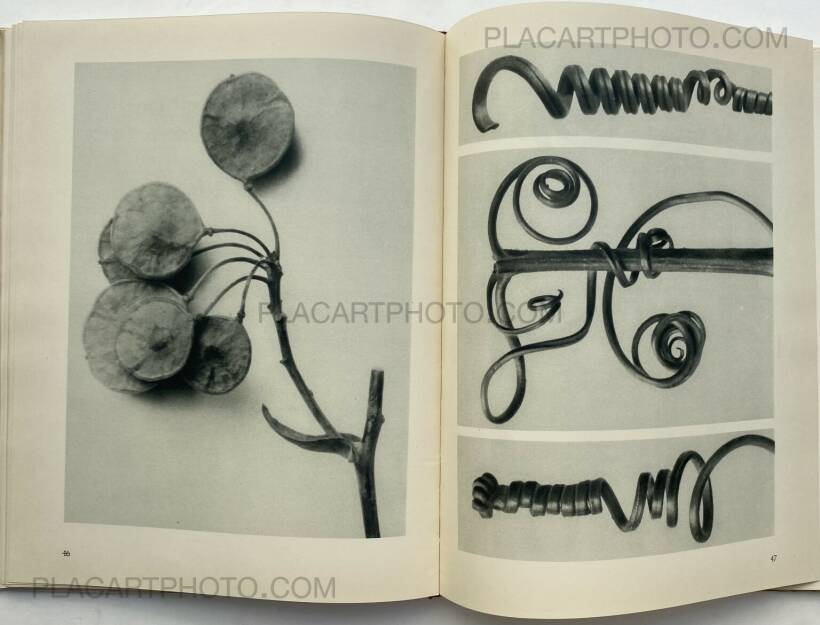 アート・デザイン・音楽 90s Karl Blossfeldt art book アート・デザイン・音楽 90s Karl Blossfeldt art book アート