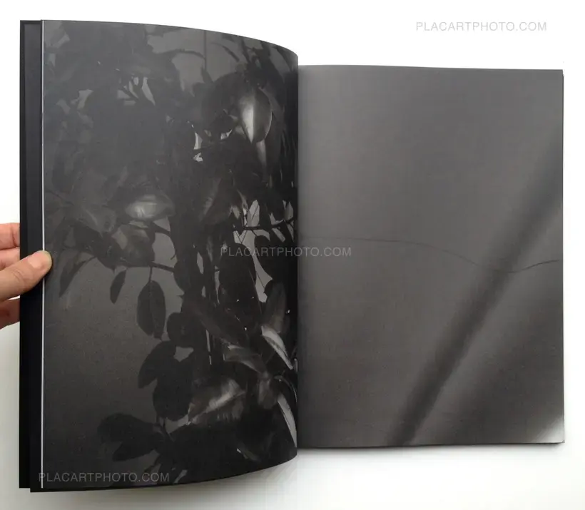 Michel Mazzoni – Collisions (Signed)