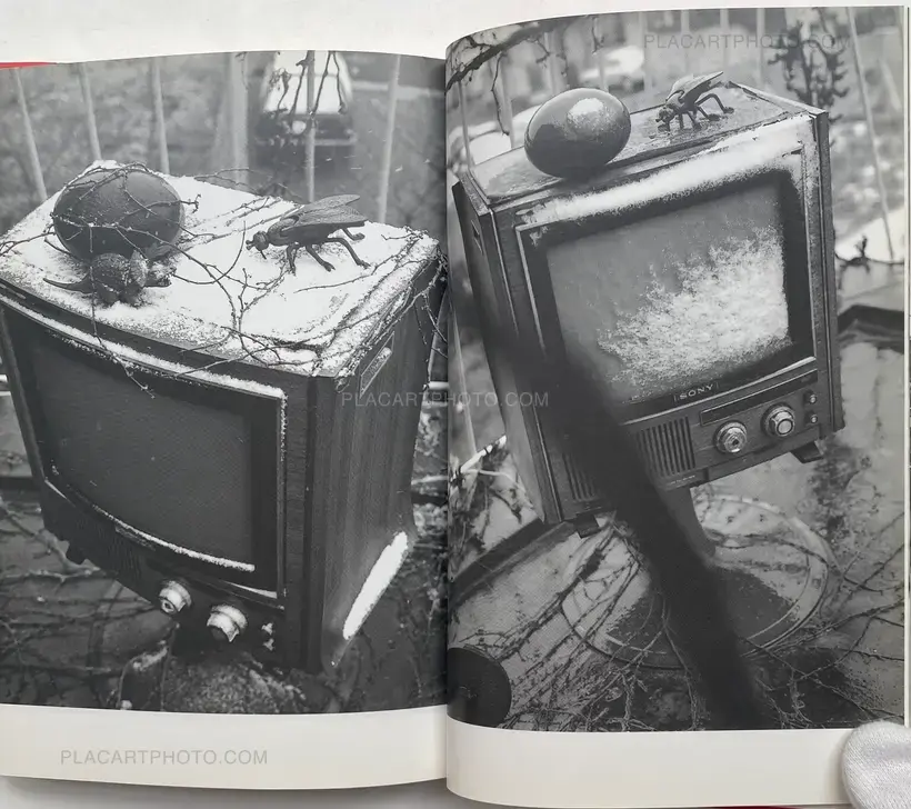 Nobuyoshi Araki – Ai no Balcony (Balcony of Love) (SIGNED WITH OBI)