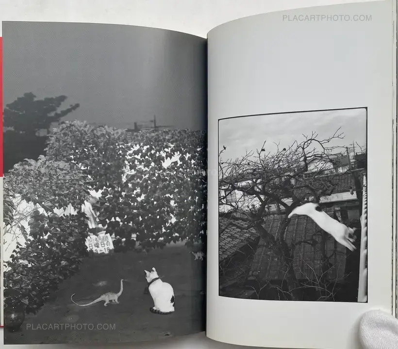 Nobuyoshi Araki – Ai no Balcony (Balcony of Love) (SIGNED WITH OBI)